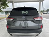 Used 2020 Ford Escape Titanium image 4