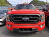 Used 2022 Ford F150 XLT w/ Equipment Group 302A High image 2