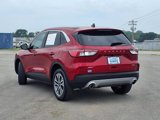 Certified 2022 Ford Escape SEL image 2