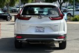 Used 2021 Honda CR-V Special Edition image 5