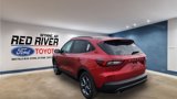 New 2025 Ford Escape ST-Line w/ Tech Pack #1 image 3