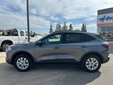 New 2025 Ford Escape Active w/ Tech Pack #1 image 3