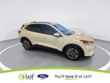 Used 2020 Ford Escape SEL image 2