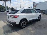 Used 2020 Ford Escape SEL image 4