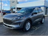 Used 2022 Ford Escape SE image 4