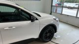 Used 2020 Ford Escape SE Sport image 5