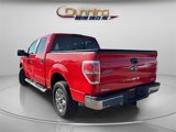Used 2013 Ford F150 XLT w/ Luxury Equipment Group image 2