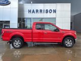 Used 2017 Ford F150 XLT w/ Equipment Group 302A Luxury image 4