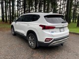 Used 2020 Hyundai Santa Fe SEL w/ Convenience Package image 5