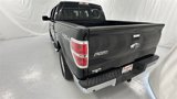 Used 2013 Ford F150 XLT w/ Luxury Equipment Group image 5
