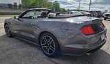 Used 2022 Ford Mustang Premium image 5