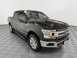 Certified 2019 Ford F150 XLT w/ Equipment Group 302A Luxury image 5