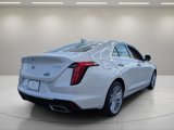 New 2025 Cadillac CT4 Premium Luxury image 4
