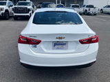 Certified 2023 Chevrolet Malibu LT image 6