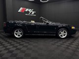 Used 1999 Ford Mustang Cobra image 5