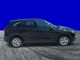 Certified 2024 Ford Escape Active w/ Tech Pack #1 image 3