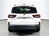 New 2025 Ford Escape ST-Line Elite w/ Tech Pack #1 image 5