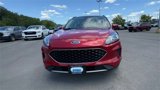 Used 2020 Ford Escape SE image 3