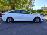 Used 2019 Hyundai Sonata SE w/ Winter Weather Package image 4