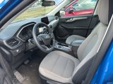 Used 2021 Ford Escape SE w/ Cold Weather Package image 5