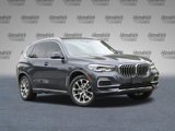 Used 2019 BMW X5 xDrive40i w/ Luxury Seating Package image 2