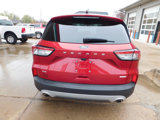 Used 2020 Ford Escape SE image 6