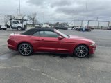 Used 2021 Ford Mustang Convertible w/ Equipment Group 101A image 4