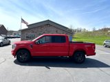 Used 2022 Ford F150 XLT w/ Equipment Group 302A High image 2