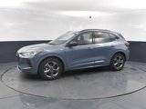 Used 2024 Ford Escape ST-Line image 4