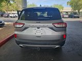 Used 2021 Ford Escape Titanium w/ Titanium Elite Package image 3