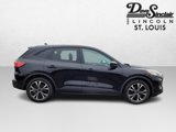 Used 2022 Ford Escape SE w/ SE Sport Appearance Package image 4