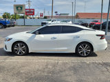 Used 2019 Nissan Maxima 3.5 SL image 6