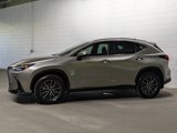 Used 2025 Lexus NX 350 AWD w/ Premium Package image 2