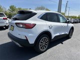 Certified 2022 Ford Escape SE image 5