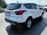 Used 2019 Ford Escape SE image 4