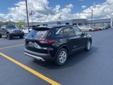 Used 2023 Ford Escape Active w/ Cold Weather Package image 5