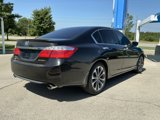 Used 2015 Honda Accord Sport image 3