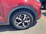 Used 2021 Kia Sportage LX image 4
