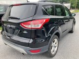 Used 2016 Ford Escape SE w/ Equipment Group 201A image 4