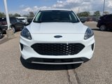 Certified 2022 Ford Escape SE w/ Convenience Package image 2