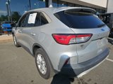 Used 2020 Ford Escape SE image 4