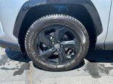Used 2019 Toyota RAV4 XSE image 5