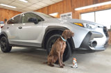 Used 2024 Subaru Crosstrek 2.0i image 2