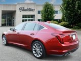 New 2024 Cadillac CT5 Premium Luxury image 5