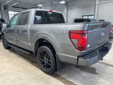 Used 2024 Ford F150 STX image 5