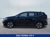 Used 2022 Honda CR-V Special Edition image 2