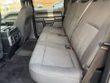 Used 2015 Ford F150 XLT w/ Equipment Group 302A Luxury image 5