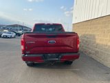 Used 2016 Ford F150 XLT w/ Equipment Group 302A Luxury image 6