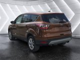 Used 2017 Ford Escape SE w/ SE Cold Weather Package image 3