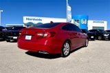 Used 2019 Honda Accord Sport image 5